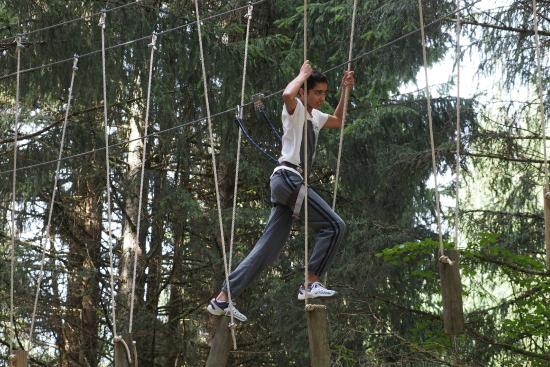 Adventure park in the trees in les Carroz